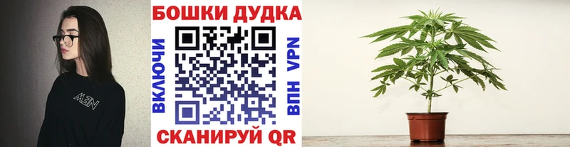 купить   Камызяк  МАРИХУАНА марихуана 
